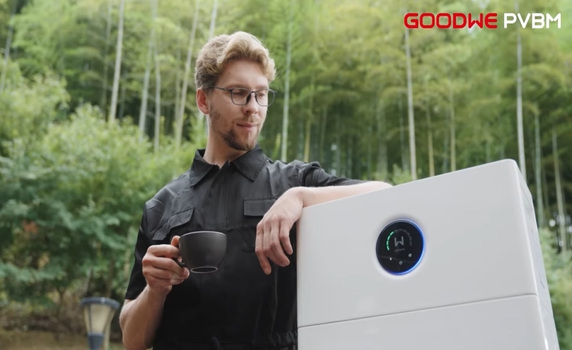 GoodWe ESA-Athena Balkonspeicher zur Energiespeicherung im Haushalt